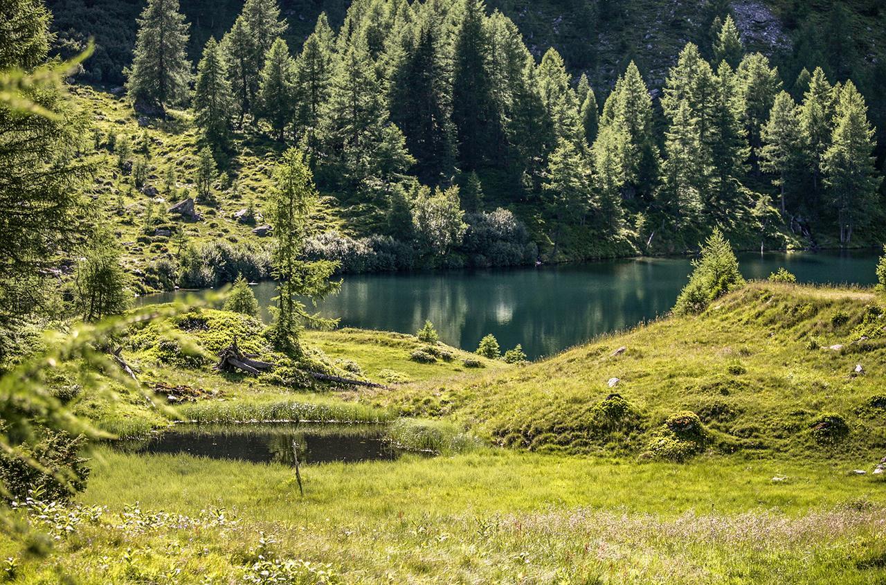 Chaletdorf-Fanningberg Weisspriach 외부 사진